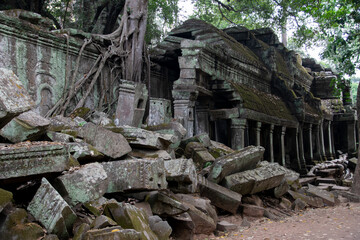 Ta Prohm Temple Ruins in Angkor, Cambodia