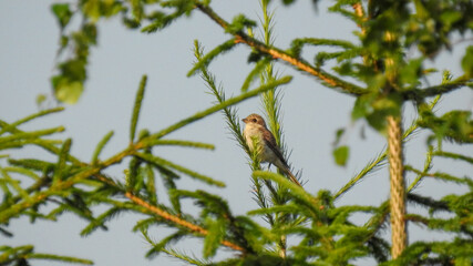 Photo by: Piotr Kobialka (https://www.instagram.com/invites/contact/?i=1|495hxywuve0&utm_content=3pyuqde)