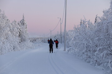 cross-country skiing in lapland