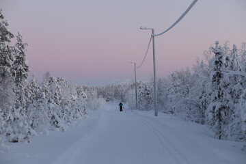 Obraz premium cross-country skiing in lapland