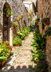 An alley decorated with flowers in Spello, one of the most beautiful villages in Italy, Umbria region