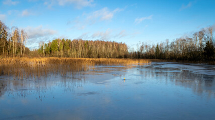 beautiful winter landscape from the lake, sunny day
