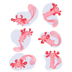 A set of several cute pink axolotls floating in water drops. A vector isolated image of an axolotl. A happy axolotl flaps its fin.