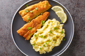 Hot dinner of fried sea fish and mashed potatoes close-up in a plate on a concrete background. horizontal top view from above