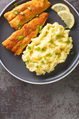 Breaded fried fish and mashed potatoes and lemon close-up in a plate on the table. vertical top view from above