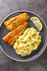 Portion of breaded fried sea fish and mashed potatoes close-up in a plate on a concrete background. vertical top view from above