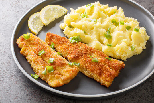 Hot dinner of fried sea fish and mashed potatoes close-up in a plate on a concrete background. horizontal