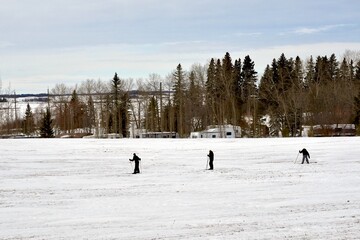 Winter in Manitoba - cross country skiing