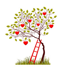 heart tree and ladder isolated on white background