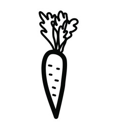 Doodle carrot. Hand drawn black and white outline carrot. Line art vegetable. Stock vector illustration on a white background.