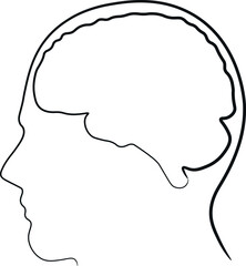human head with brain
