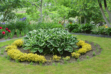 Landscaping in the garden, park, square, recreation area, memorable places.