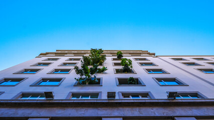 Edifico neoclásico con jardines verticales en sus balcones - obrazy, fototapety, plakaty