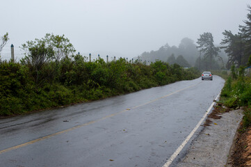 two-way road in rural area with trees in foggy day.