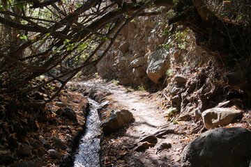 Bach im Barranco Cernicalos Turmfalkenschlucht auf Gran Canaria