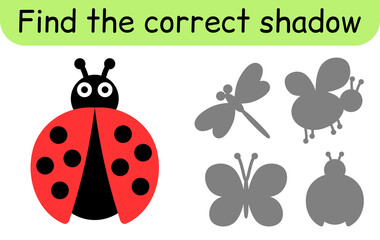 Find the correct shadow. Kids game. Educational matching game for children. Insect theme