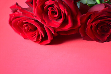 St Valentines Day romantic photo with bouquet of roses . Wedding and congrats background with red roses. Passion color