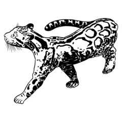 Leopard, wild cat drawing, Clouded leopard from Himalayan. Hand drawn wildcat hunting. Vector.