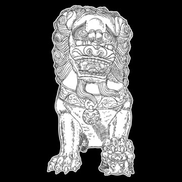 Drawing of traditional Chinese lion on a white background. Oriental Asian lion temple guard. Traditional ancient stone statue lion guardian. Lions are traditionally carved from stone. Vector.