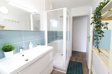 
Shower and white washbasin cabinet in bathroom. Blue tile
(France - 19.08.2020)
