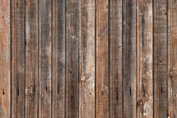 Background from wooden boards. Design blank wood texture for text.