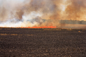 A burning agricultural field in hot summer weather. Dry wind blows the flames of fire across the fields of farmers
