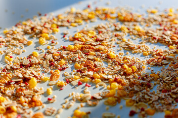 Different sorts of breakfast cereal products. Set with different cereal grains on white background, top view. Sunny breakfast concept.