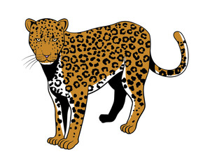 leopard cartoon isolated on white