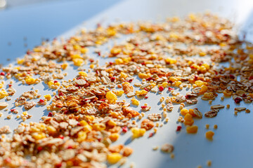 Different sorts of breakfast cereal products. Set with different cereal grains on white background, top view. Sunny breakfast concept.