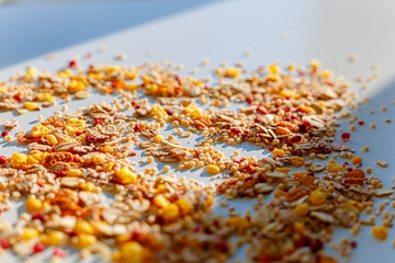 Different sorts of breakfast cereal products. Set with different cereal grains on white background, top view. Sunny breakfast concept.
