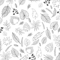 doodle set of floral elements. Black and white drawing. Tropical summer twigs and leaves, exotic plants for greeting cards, wedding invitations, coloring pages, blogs and social media designs