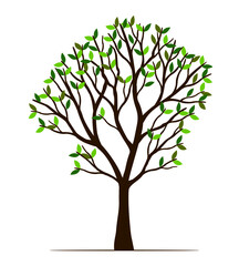 Fototapeta premium Green Spring Tree. Vector outline Illustration. Plant in Garden.
