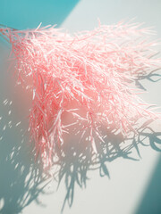 Shallow depth of field image of pampas grass with defocused central copy space