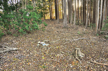 奥武蔵　名栗金比羅山の山頂