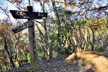 奥武蔵　秋の大ヨケノ頭の山頂
大ヨケノ頭は蕨山と金比羅神社跡をつなぐ金比羅尾根の中間に位置するピーク。狭い山頂の周囲は樹林に囲まれていて展望はないが、東の金比羅山方面には少し下った場所に南西に開けた場所があり、そこからは棒ノ嶺（棒ノ折山）や槙ノ尾山、川苔山（川乗山）を望むことができる。また西側の蕨山方面に登った地点からも、長尾丸山（長尾ノ丸）、川苔山（川乗山）、日向沢ノ峰、蕎麦粒山（火打石山）など