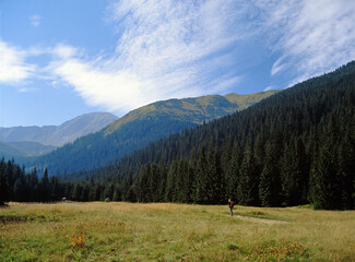 Tatry mountains, Tatrzanski National Park, Wyznia Jarzabcza Polana, Poland © Maciej