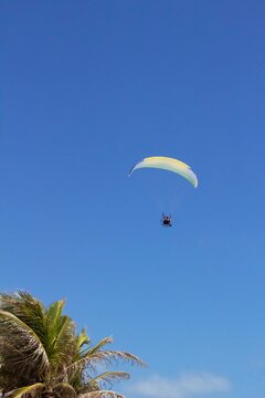 paragliding in the sky