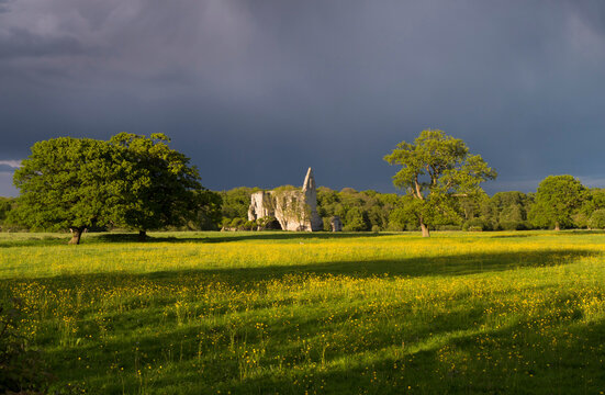 Europe, UK, England, Surrey, Newark Priory