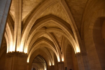 Fototapeta premium L'orangerie, Paris