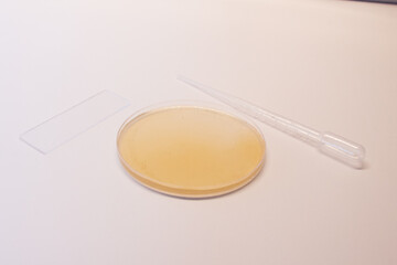 petri dish with white background