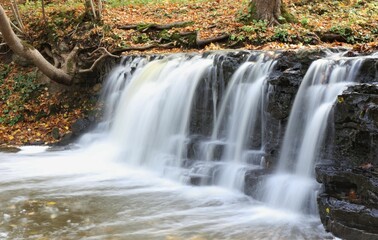 Waterfall in the forest in autumn.Bright leaves float on the water. Water flows over black stones.