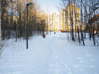 Winter alley in the city park. City landscape.