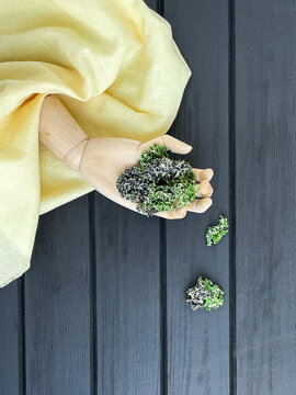 Fresh baked dehydrated kale chips in wooden hand on a black wooden background.