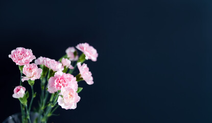 Pink bouquet of carnations on black background. Condolence card concept. Selective focus, copy space