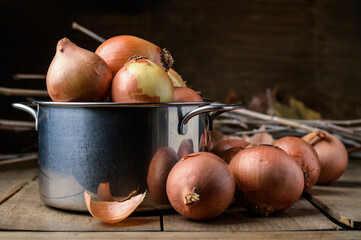Freshly harvested onions of different types and sizes in a pot on a wooden table. High quality photo