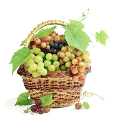 Grapes isolated on white background. Grapes in the basket. Bunch of grape isolated on white background.  bunch grape .