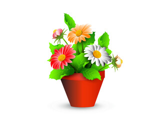 White, red and orange gerbera flowers in a plastic shipping pot for room decor, isolated on white background. Vector illustration for interior design, flower shop advertising, other. 