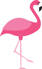 Tropical Bird Flamingo
