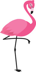 Tropical Bird Flamingo