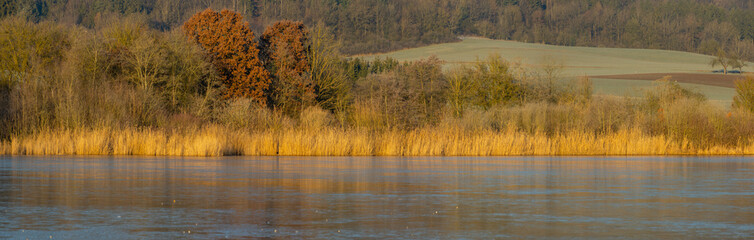 Extra wide panorama of a frozen lake, brown reed on the lakeshore and trees in the background